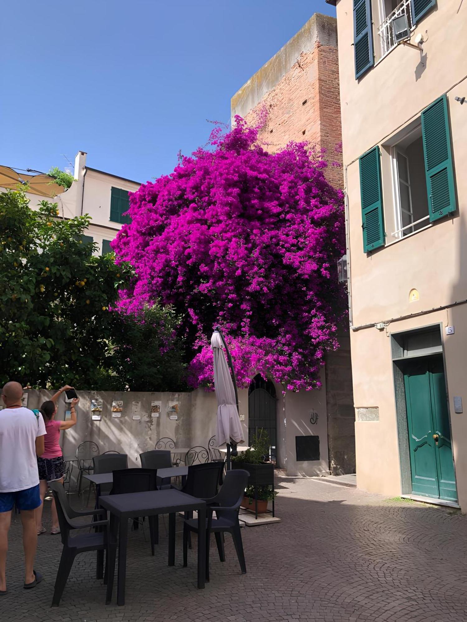 Wonderful Noli - Appartamento Noli Liguria Italia Екстериор снимка